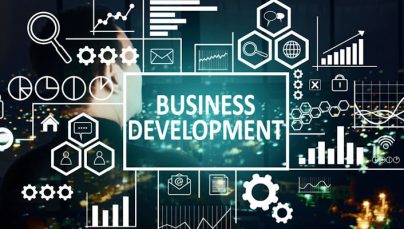 Unveiling the Strategic Imperative: The Essence of Business Development